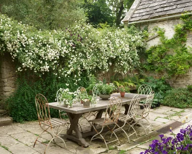 A courtyard garden with a rustic dining table and climbing plants.