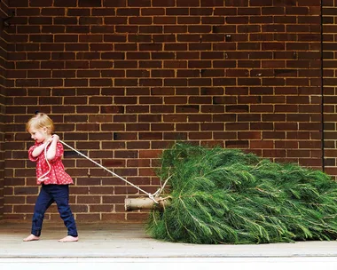 When should you take down your Christmas tree?