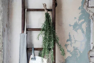 How to remove mould stains