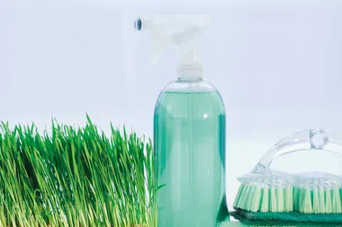 5 eco-friendly tips for spring cleaning