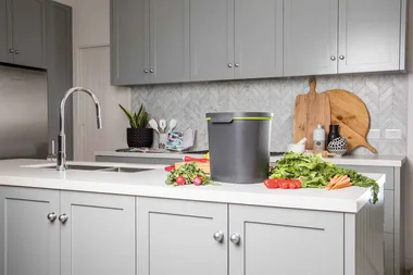 A cheat’s guide to going green at home