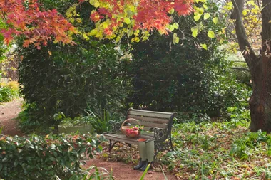 How to make your own compost