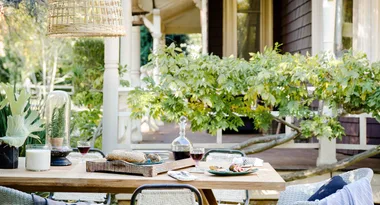Outdoor table setting with wine, bread, and greenery on a porch, surrounded by lush plants.