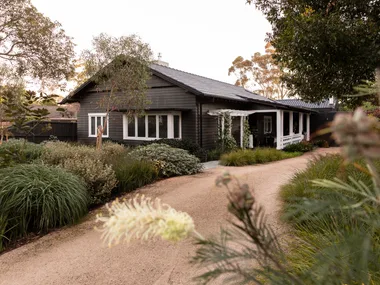 A rustic dark wood house with white windows, surrounded by lush green plants and a winding gravel path.