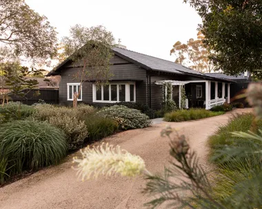 A rustic dark wood house with white windows, surrounded by lush green plants and a winding gravel path.