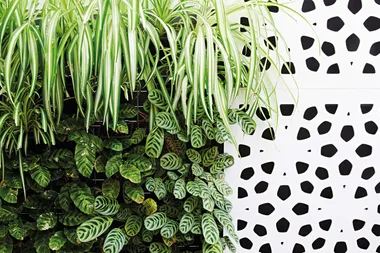 Creating the ultimate garden nook