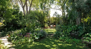 A lush garden with green trees, various plants, and flowers, featuring a pathway and a bench in the background.