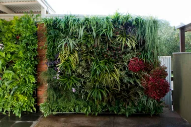 An expert’s guide to vertical gardens
