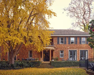 Red-brick house with a large yellow tree in front, surrounded by a garden with fallen leaves. The facade of this heritage house is a classic Georgian style.