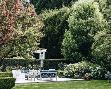 How to declutter your garden in 5 easy steps