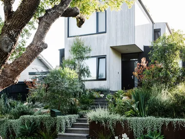 Modern two-story house with large windows, surrounded by lush greenery and trees.