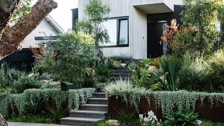 Modern two-story house with large windows, surrounded by lush greenery and trees.
