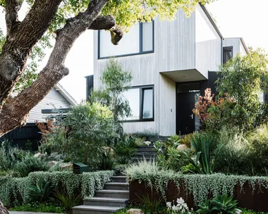 Modern two-story house with large windows, surrounded by lush greenery and trees.