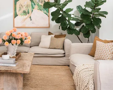 A living room in Mediterranean coastal style with a large plant, a tactile woven rug and cream coloured sofas. A green painting is on the white wall.
