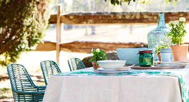 Outdoor dining table with green chairs, bowls, a small plant, and a large blue bottle against a rustic wooden fence.