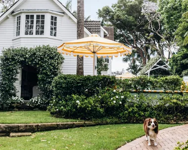 A tropical entrance to a Nantucket style home in Palm Beach.