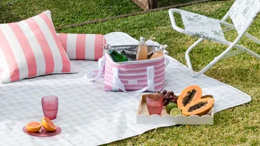 Picnic setup with striped cushions, cooler bag, papaya, drinks, and a chair on grass.