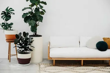 Pop & Scott Dreamer couch in linen covers