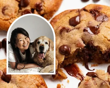 RecipeTin Eats Chocolate Chip Cookies with Nagi and Dozer inset