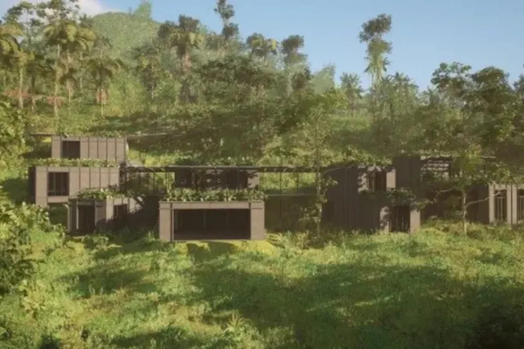 Render of Zac Efron's hemp home in Australia