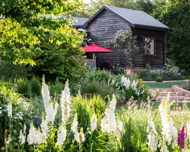 Weatherboard country cottage garden with foxglove flowers and trees.