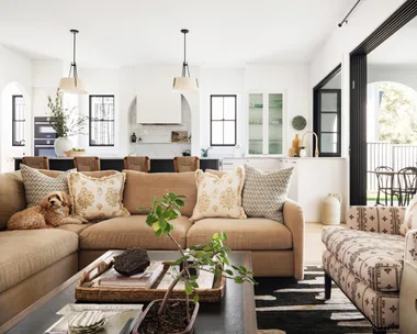An open plan kitchen and living room which opens out to an alfresco dining and living area. A dog sits on the neutral toned couch. The space is primarily black and white, with warm tones in the living room seats.