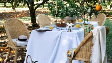 Outdoor table setting with wicker chairs, white tablecloth, fruit cake, orange juice, and a hat, under orange trees.