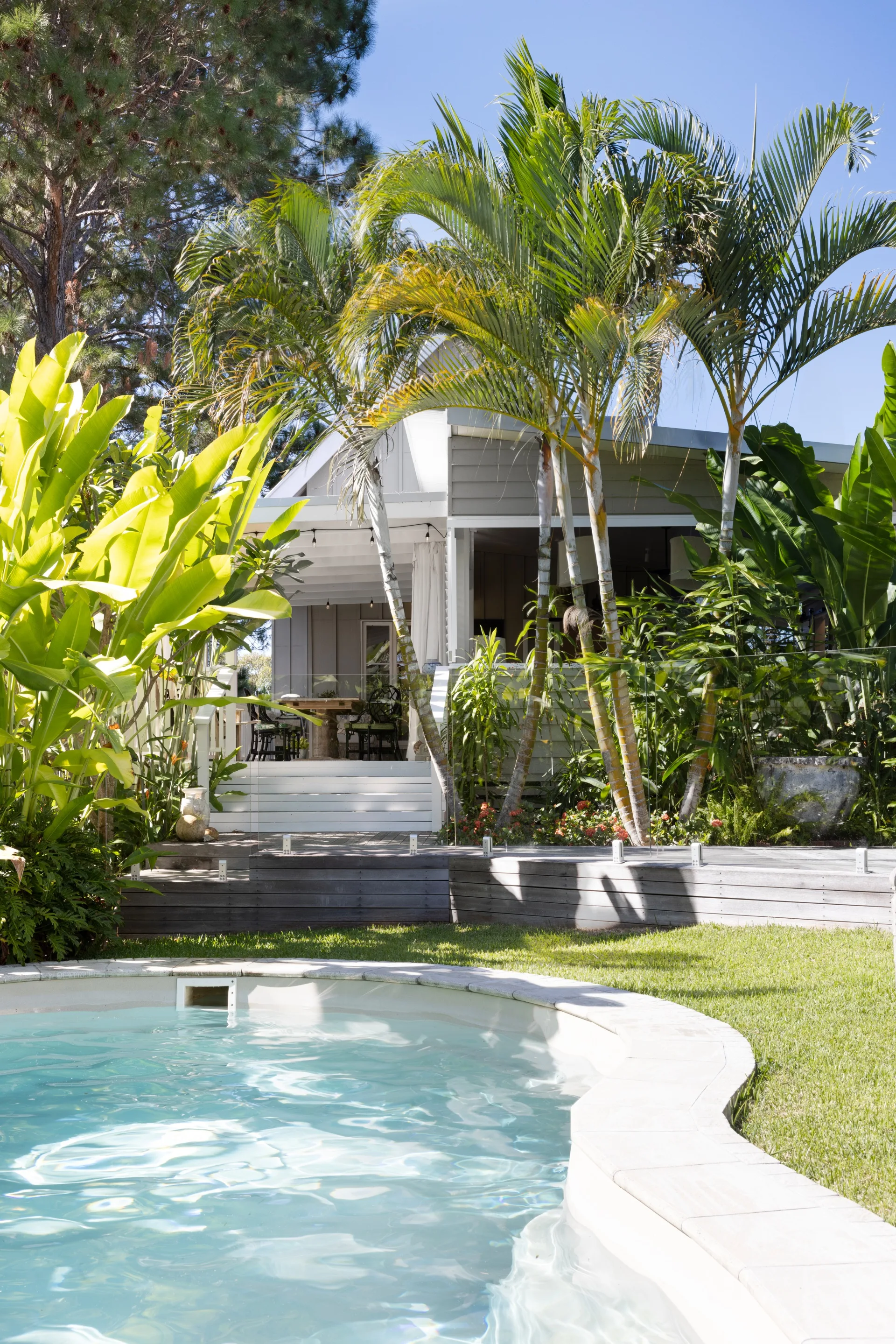 A swimming pool surrounded by palm trees and tropical plants.