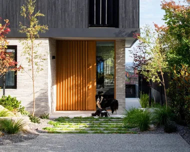 A modern minimalist house with stone and black cladding and two border collies beneath.