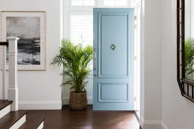 Entryway with a light blue door, potted plant, abstract painting, and dark wood floor.