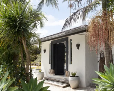 Small white building with a black door, surrounded by tropical plants and palm trees under a clear blue sky.