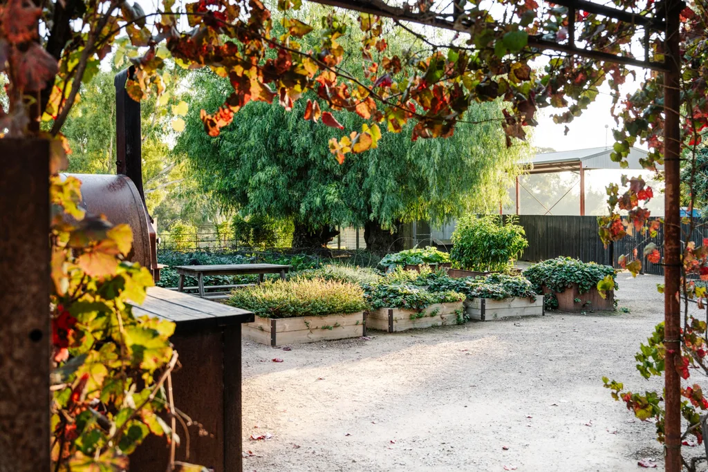 A vegetable garden with raised beds, lush greenery, and autumn leaves, set under a clear sky with sunlight filtering through.