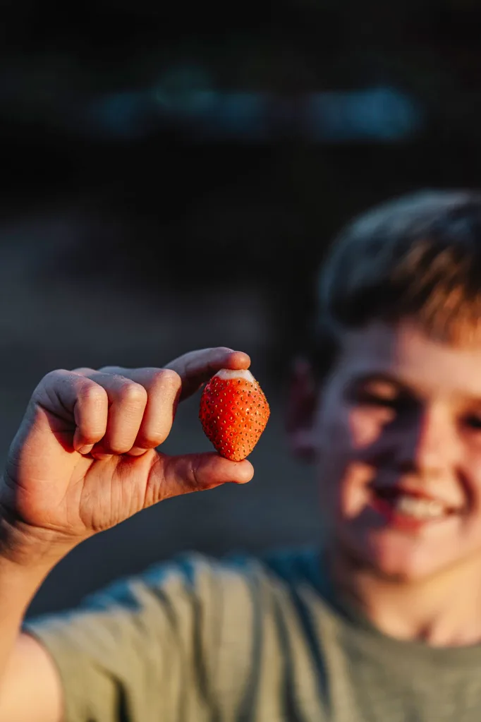 A child holds a strawberry between fingers, smiling in soft focus in the background.