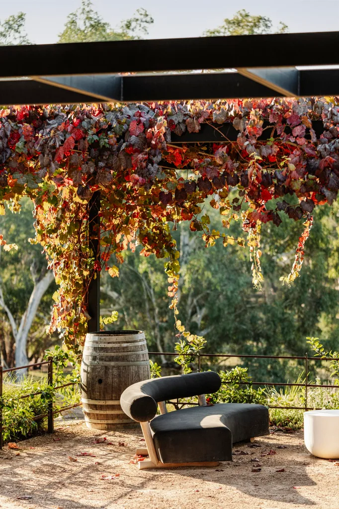 Outdoor seating with a black chair, wooden barrel, and vine-covered pergola in a garden setting.