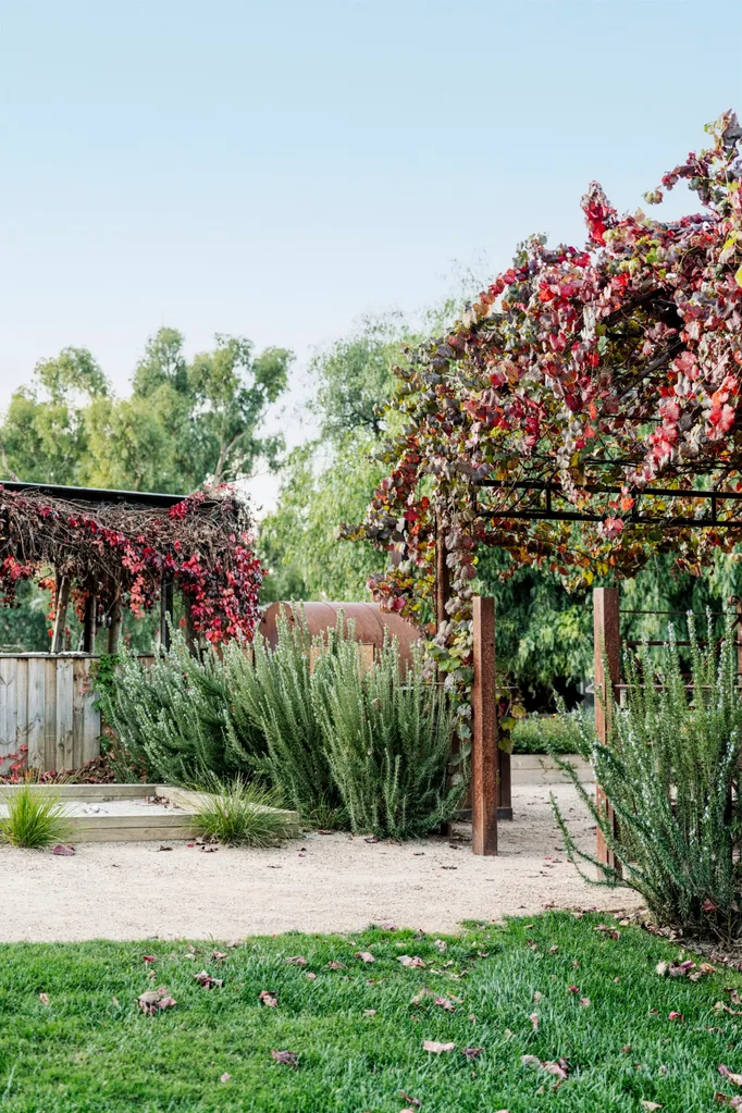 Lush vegetable garden scene with red and green vines on trellises, surrounded by greenery under a clear blue sky.