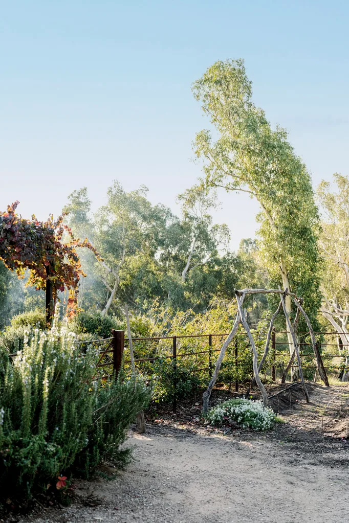 Lush vegetable garden path with green and red foliage, a rustic trellis, and bright sky overhead.