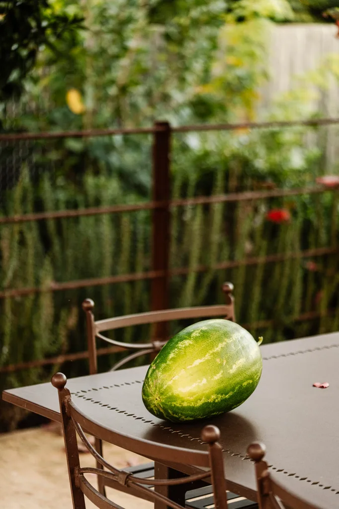 Watermelon on a brown patio table with blurred greenery in the background.