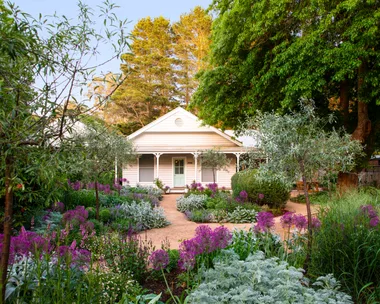 A blooming garden with a meandering path to a weatherboard cottage.
