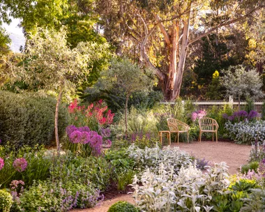A summer courtyard surrounded by cottage garden flowers.