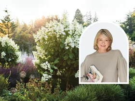 White garden design Martha Stewart