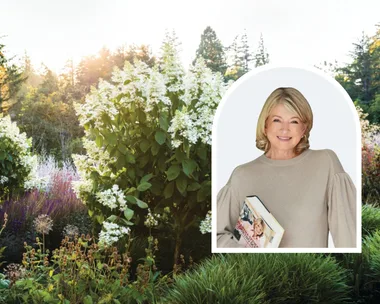 White garden design Martha Stewart